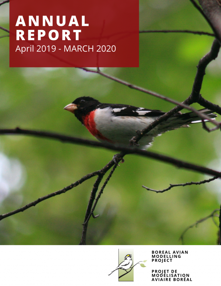 BAM Annual Report Cover 2019 2020