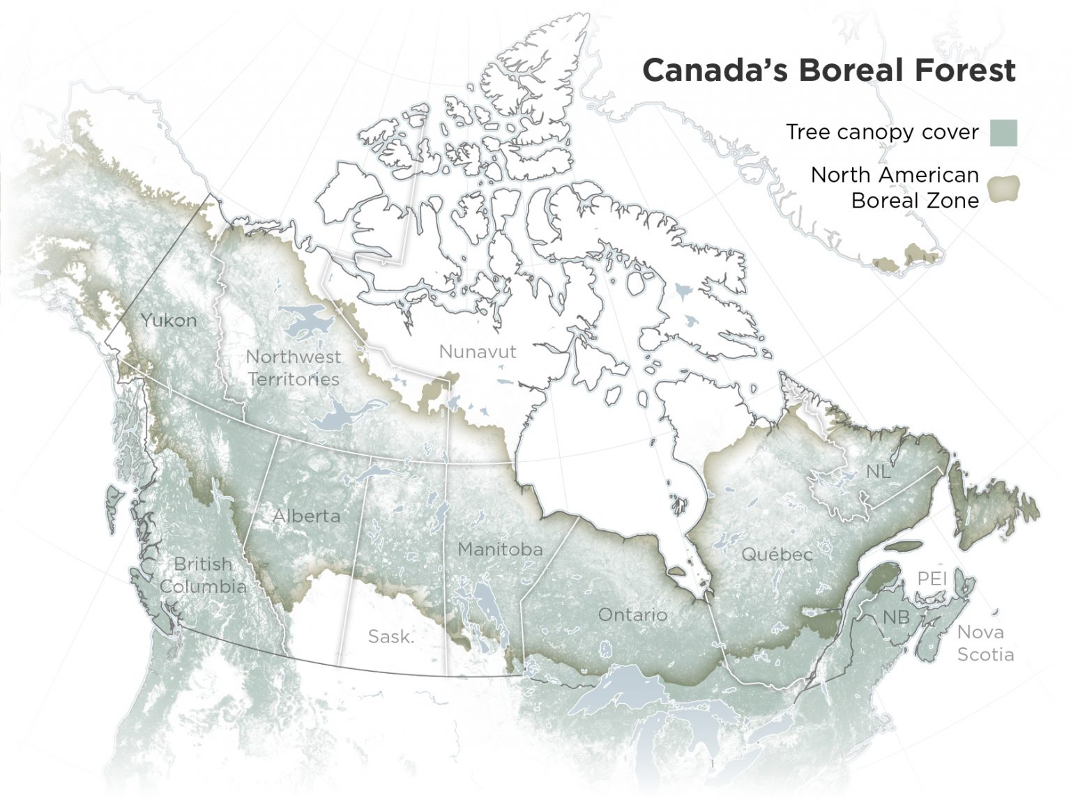 canada boreal forest distribution map 1536x1151 1
